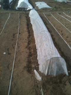 image-20110407124416.png